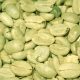 green coffee bean extract